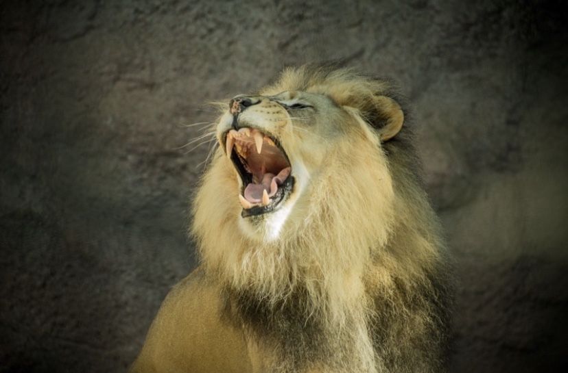 Why can’t I get it&nbsp;together?