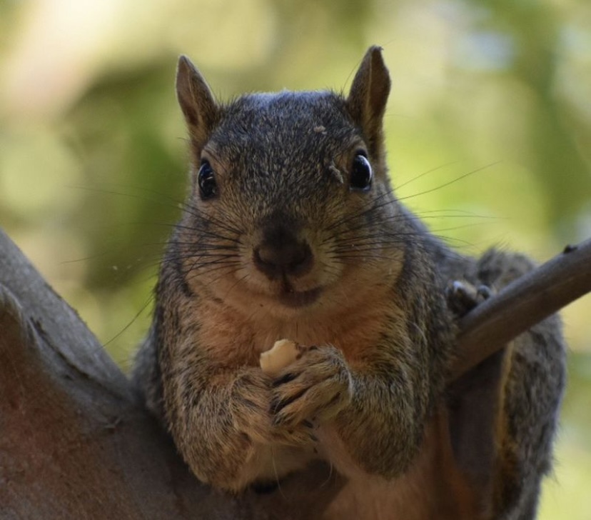 Accountability – my weight loss Journey – month&nbsp;3