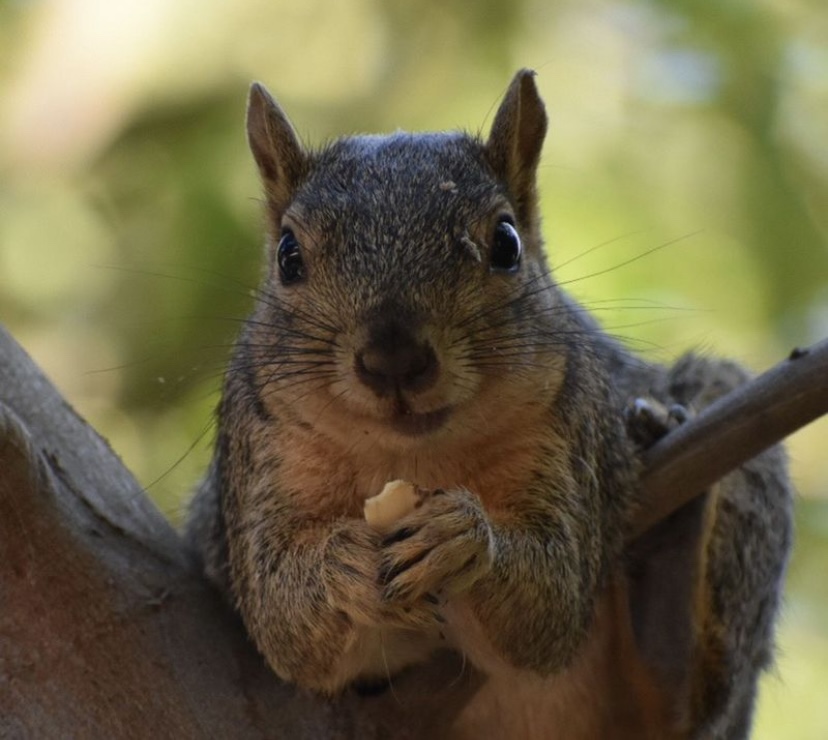 It came up too fast and now it’s&nbsp;over…