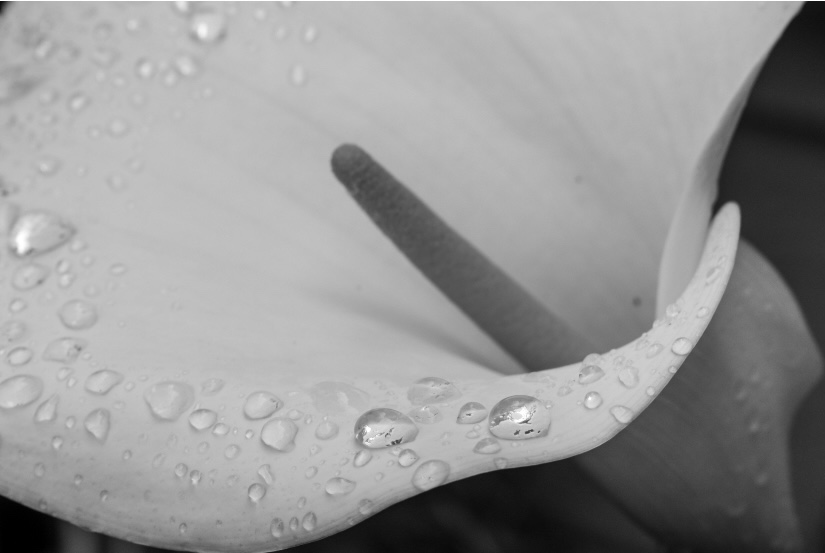 My weight loss journey-November update